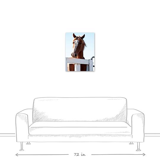 Curious Horse 18" x 24" Canvas Wall Art